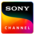 ch-19-qtytoosu13m04db7b2zel36xnlahxu4gjqweo9l1pk
